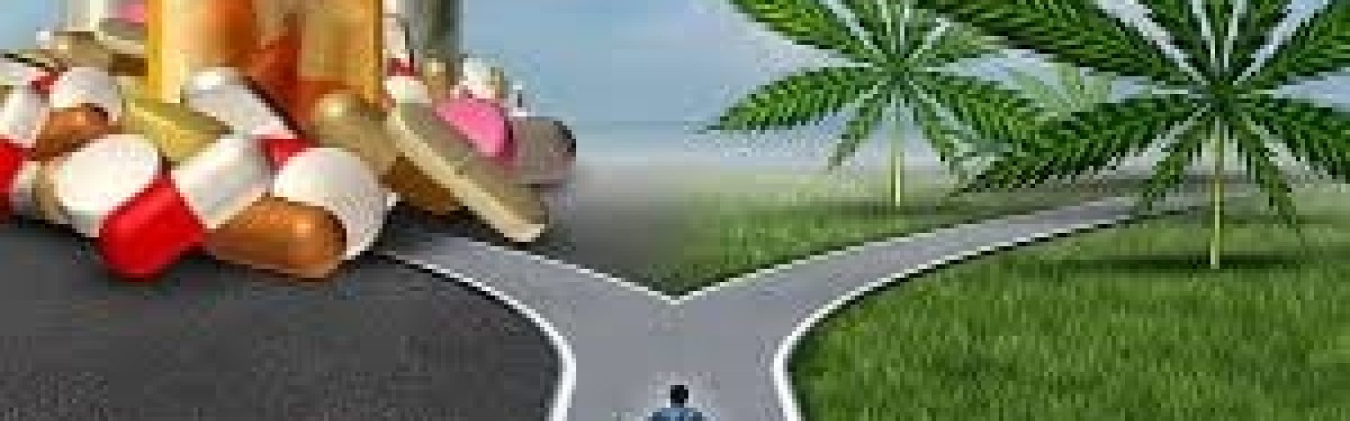 CANNABIS: HVAD ER ALTERNATIVET?
