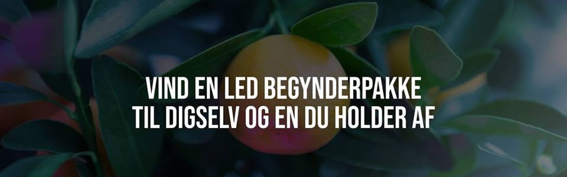 VIND ET LED BEGYNDERKIT TIL DIG OG EN DU HOLDER AF!