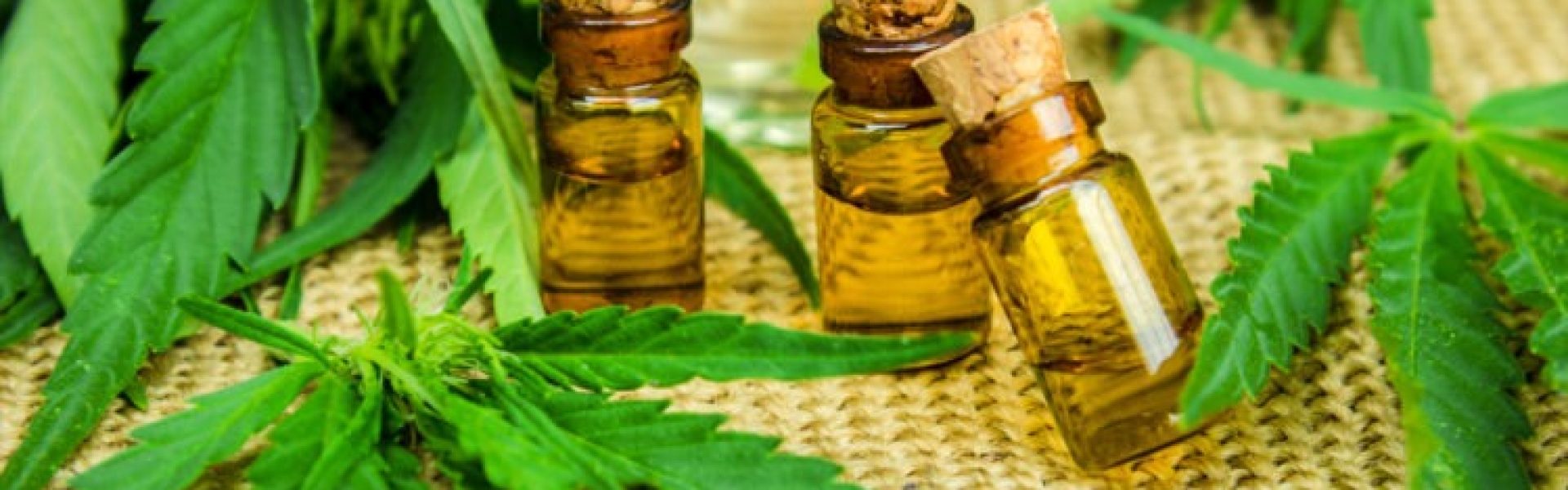 MEDICINSK CANNABIS OG DE GAVNLIGE EFFEKTER