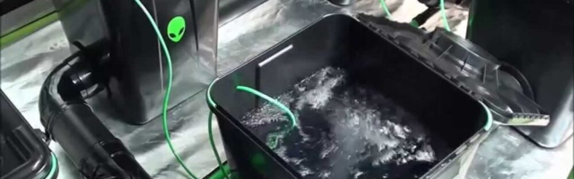LED PLANTELYS OG HYDROPONIC SYSTEMER FRA ALIEN