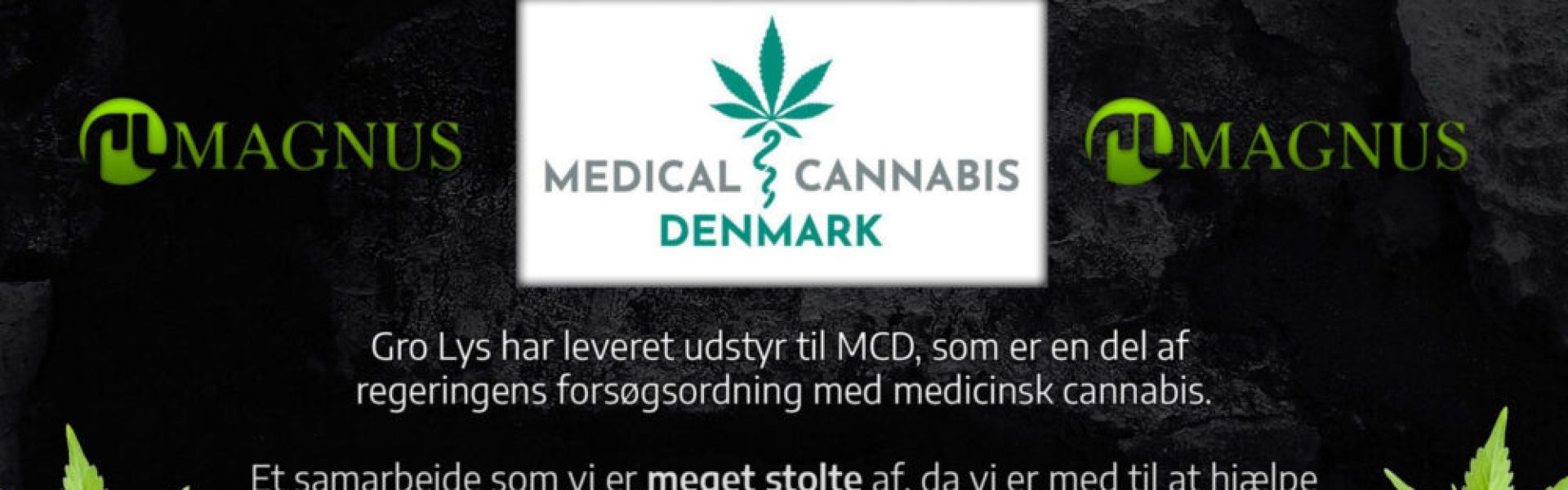 GRO-LYS OG DEN MEDICINSKE FORSØGSORDNING