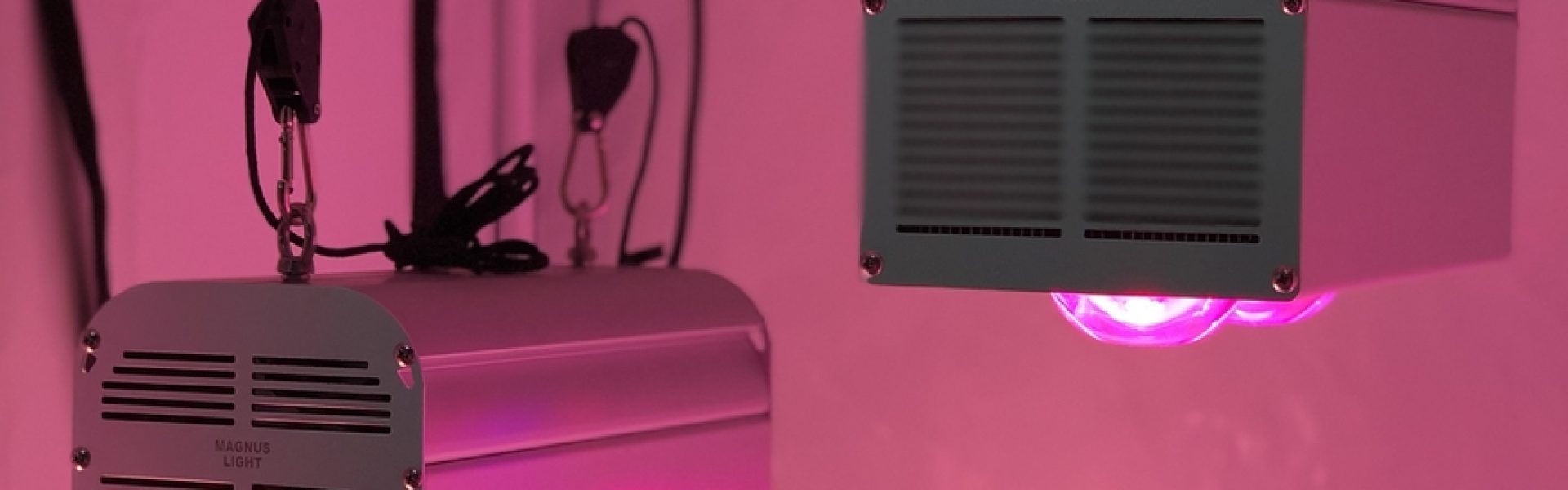 Nybörjartips när du odlar med LED-växtbelysning