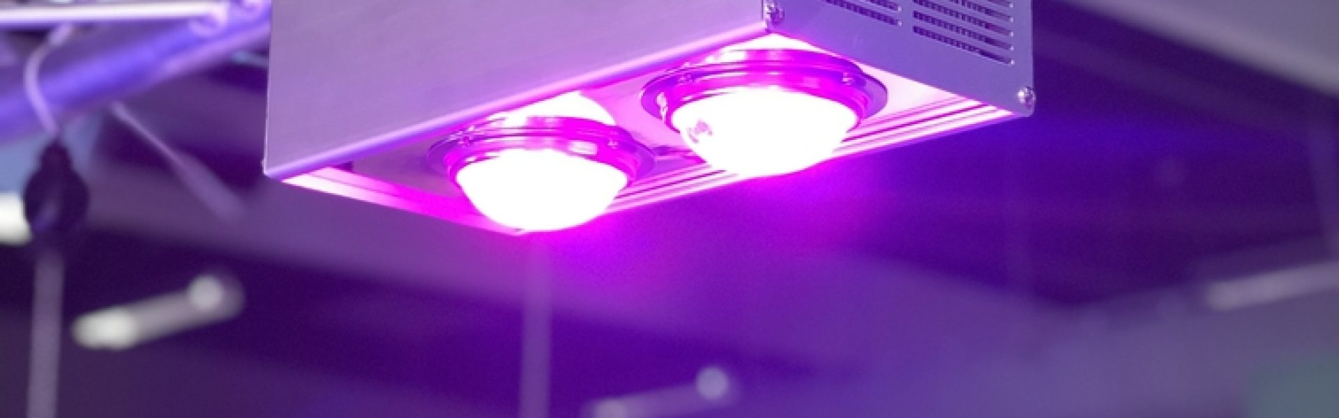 Grolys elsker LED vækstlys!
